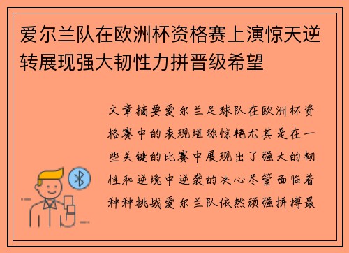 爱尔兰队在欧洲杯资格赛上演惊天逆转展现强大韧性力拼晋级希望