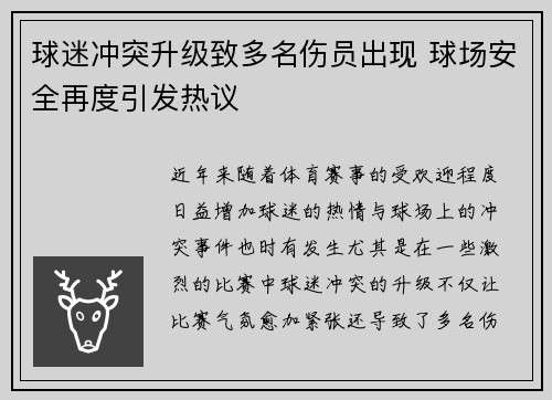 球迷冲突升级致多名伤员出现 球场安全再度引发热议